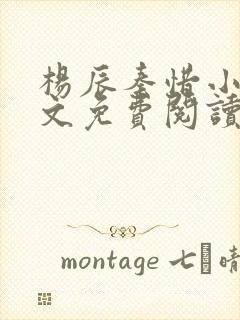 杨辰秦惜小说全文免费阅读最新