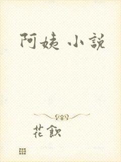 阿姨 小说