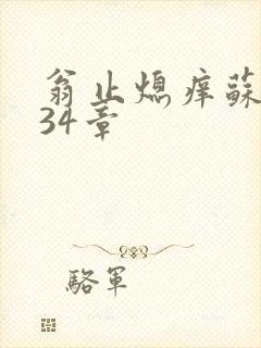 翁止熄痒苏钥第34章