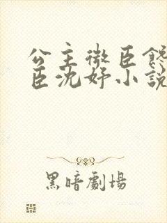 公主微臣馋了微臣沈妤小说