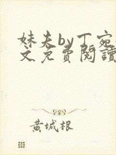 妹夫by丁宛全文免费阅读笔趣阁封面