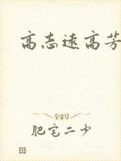 高志远高芳封面