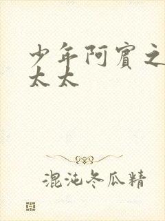 少年阿宾之房东太太