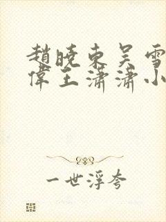 赵晓东吴雪晴郑伟王潇潇小说名字