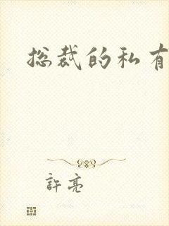 总裁的私有宝贝