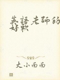 英语老师的兔子好软