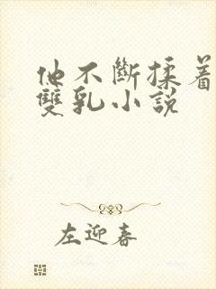 他不断揉着我的双乳小说