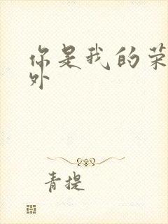 你是我的荣耀番外