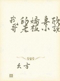 我的娇妻欣儿林哥老板小说