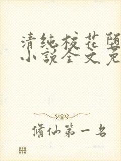 清纯校花堕落记小说全文免费阅读无弹窗封面