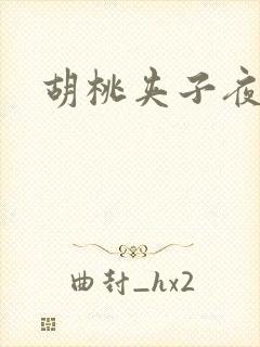 胡桃夹子夜未眠封面