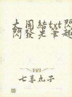 大团结txt闪闪发光笔趣阁封面