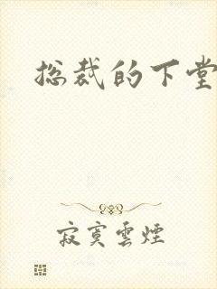 总裁的下堂妻封面