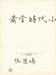 黄金时代小说