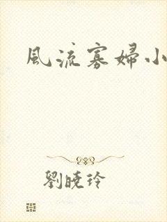 风流寡妇小说封面