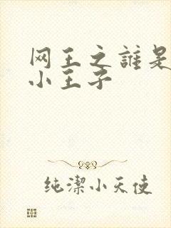 网王之谁是我的小王子封面
