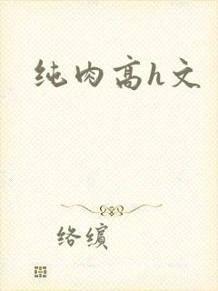 纯肉高h文