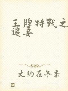 王牌特战之军少追妻封面