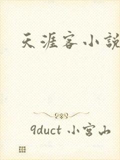 天涯客小说封面