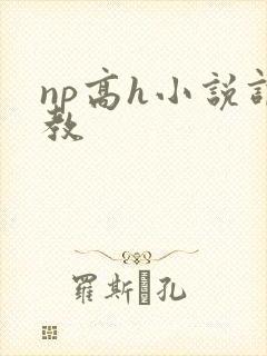 np高h小说调教封面