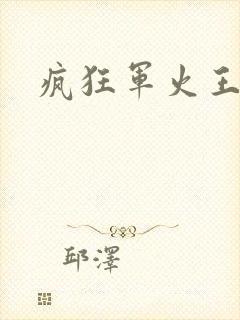 疯狂军火王封面