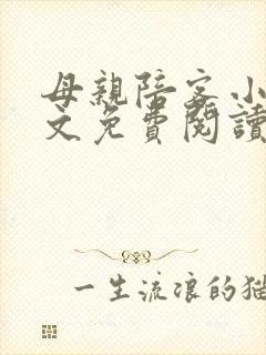 母亲陪客小说全文免费阅读封面