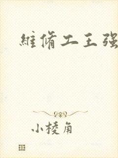 维修工王强张婷