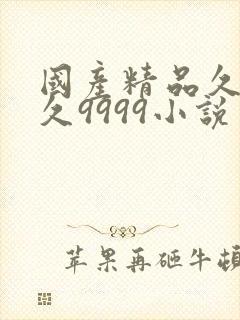 国产精品久久久久9999小说