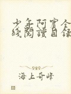 少年阿宾全文在线阅读目录封面