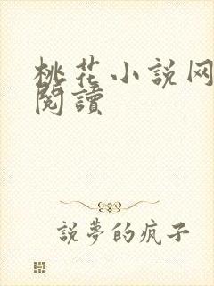 桃花小说网小说阅读