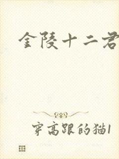 金陵十二君