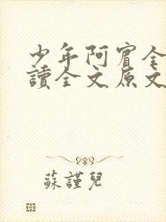 少年阿宾全文阅读全文原文