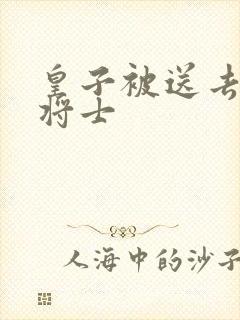 皇子被送去犒劳将士