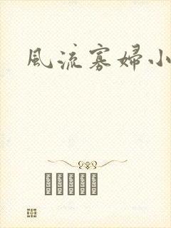 风流寡妇小说封面