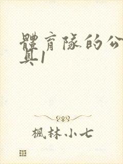 体育队的公用玩具1