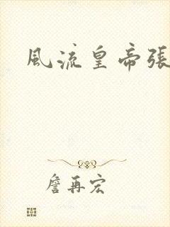 风流皇帝张无忌封面
