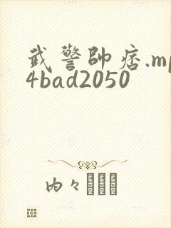 武警帅痞.mp4bad2050