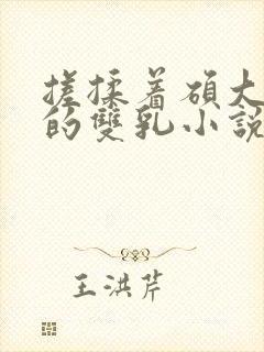 搓揉着硕大丰满的双乳小说