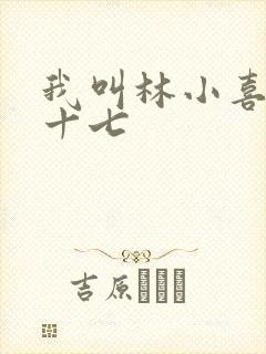 我叫林小喜今年十七