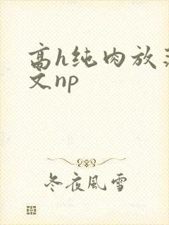 高h纯肉放荡h文np封面