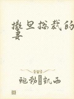 撒旦总裁的下堂妻