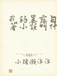 我的暴露日记原著小说叫什么