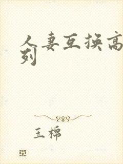 人妻互换高h系列