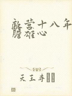 敌营十八年2虎胆雄心