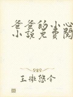 爸爸的小心肝儿小说免费阅读