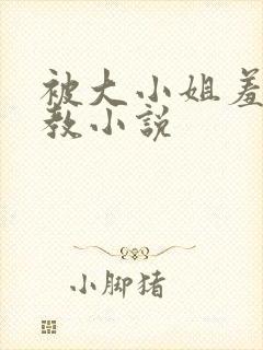 被大小姐羞耻调教小说