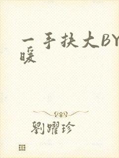一手扶大BY泱暖封面