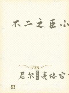 不二之臣小说
