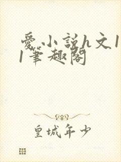 爱小说h文1v1笔趣阁