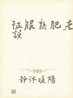 征服熟肥老妇小说封面